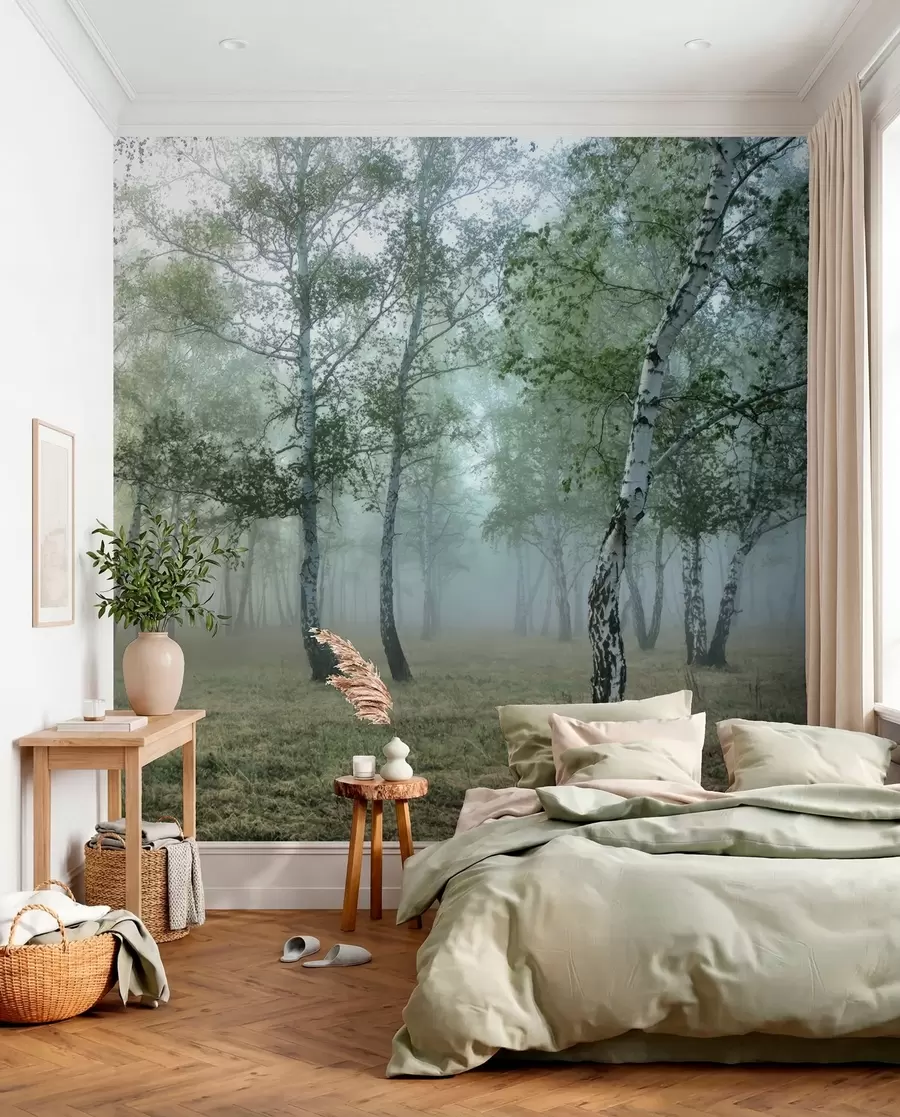 murales de pared Niebla entre abedules u25820