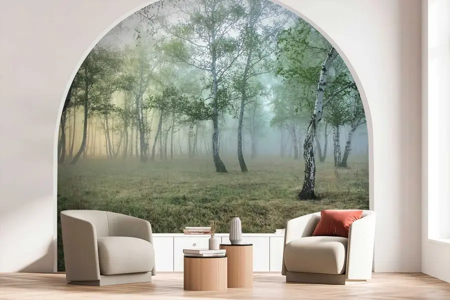 murales de pared Bosque de abedules de niebla u25820