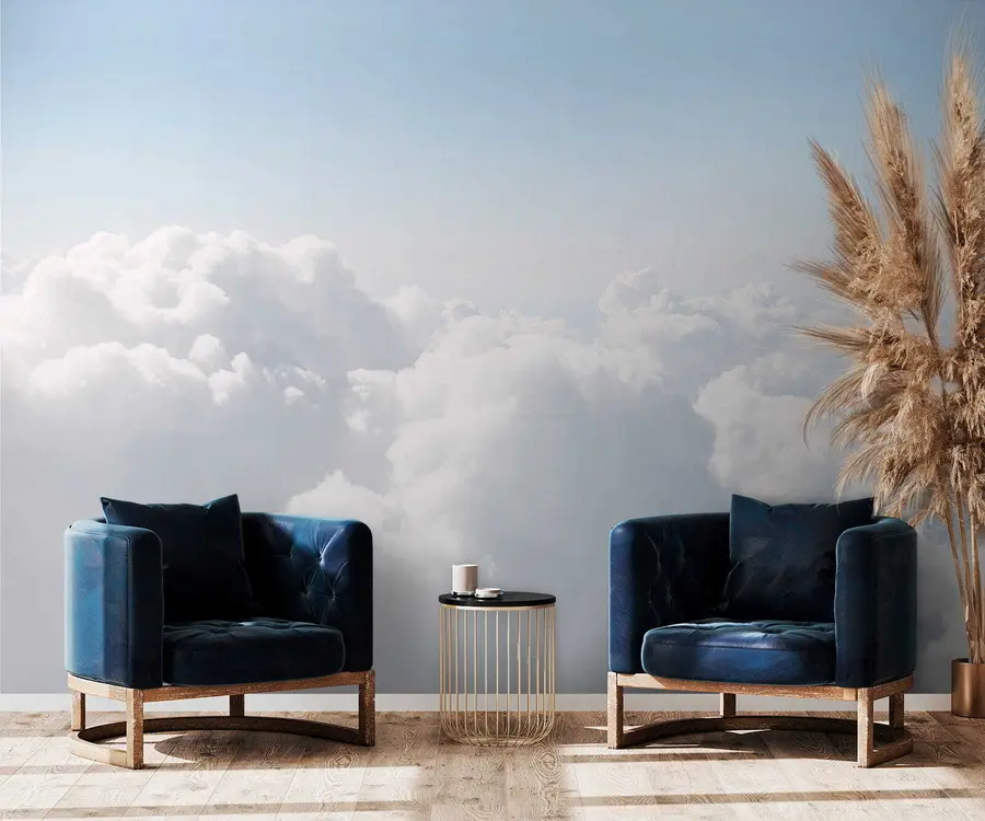 murales de pared Vuelo en las nubes u35954