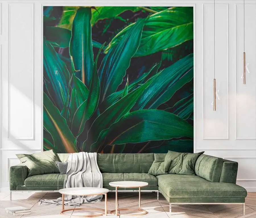 murales de pared Hojas de bali u41136