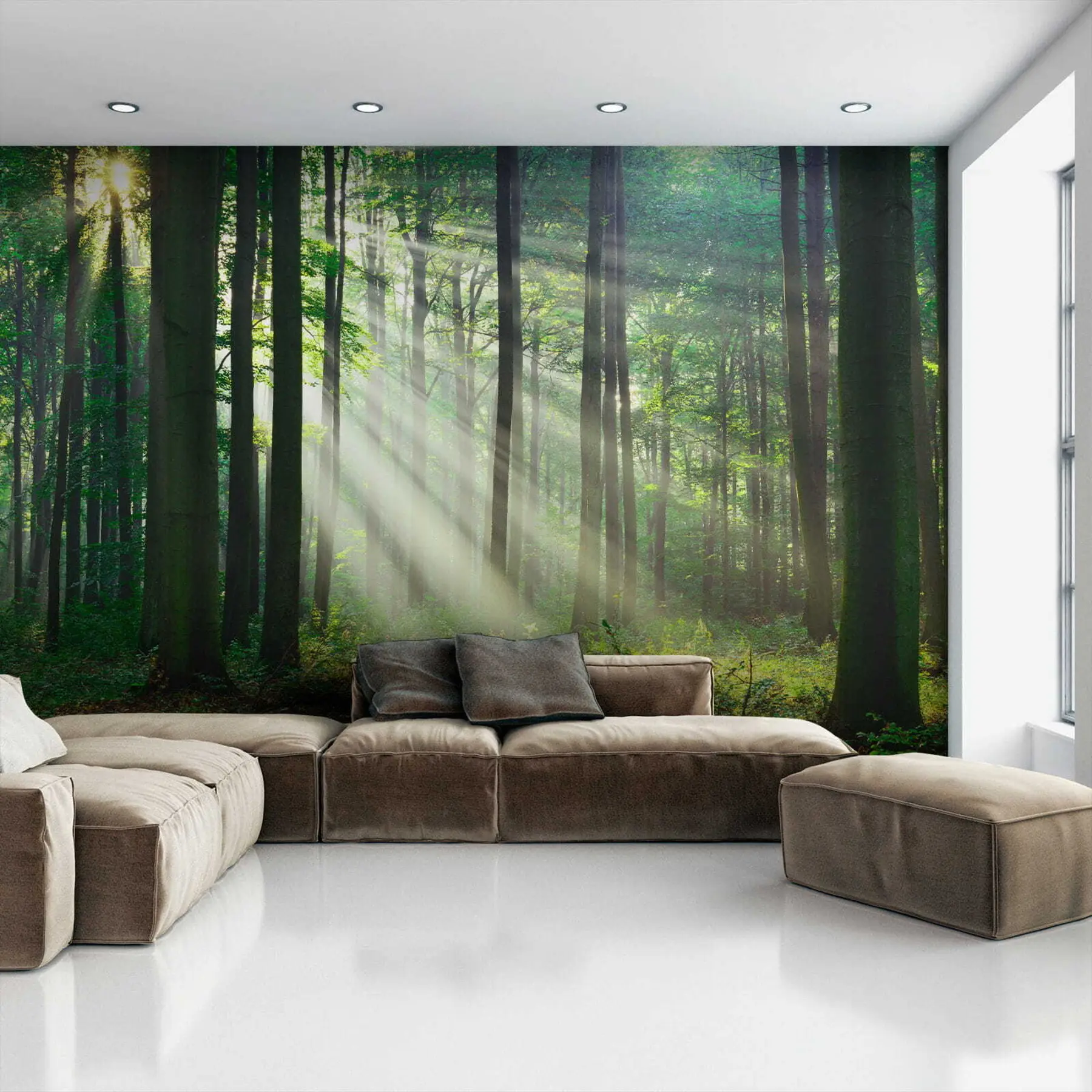 murales de pared Rayos soleados en el bosque u56787