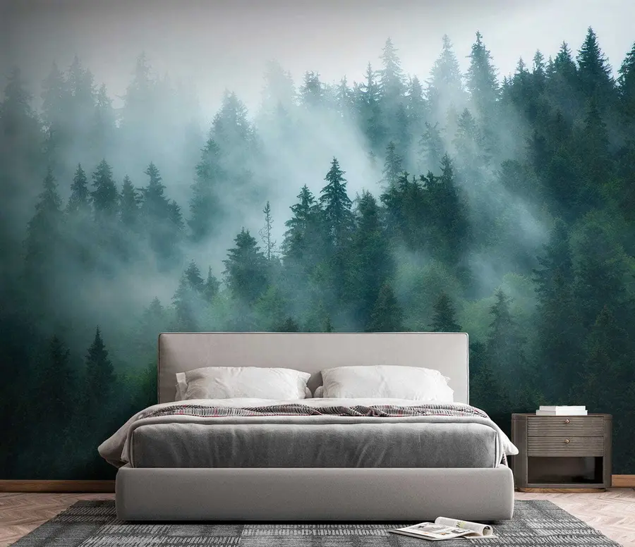 murales de pared Bosque de niebla u57914