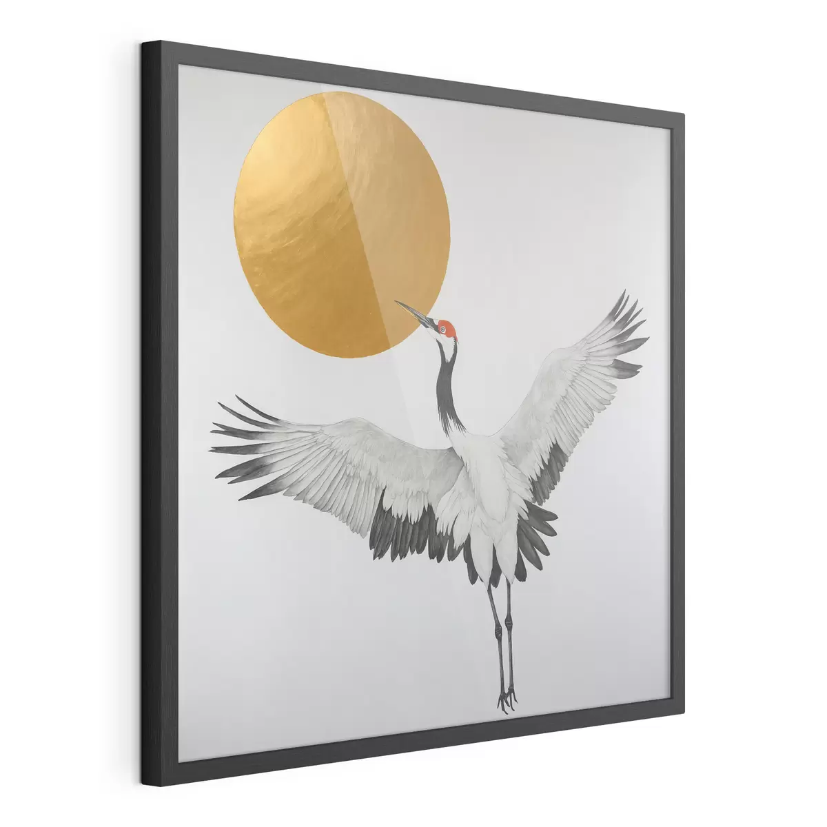 Poster Aves y luz f38195