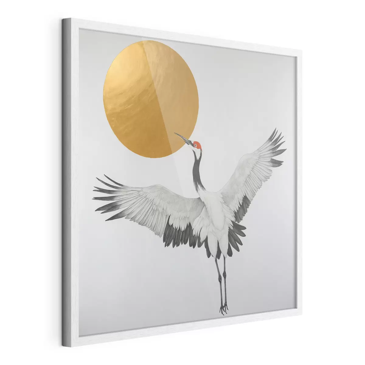 Poster Aves y luz f38195