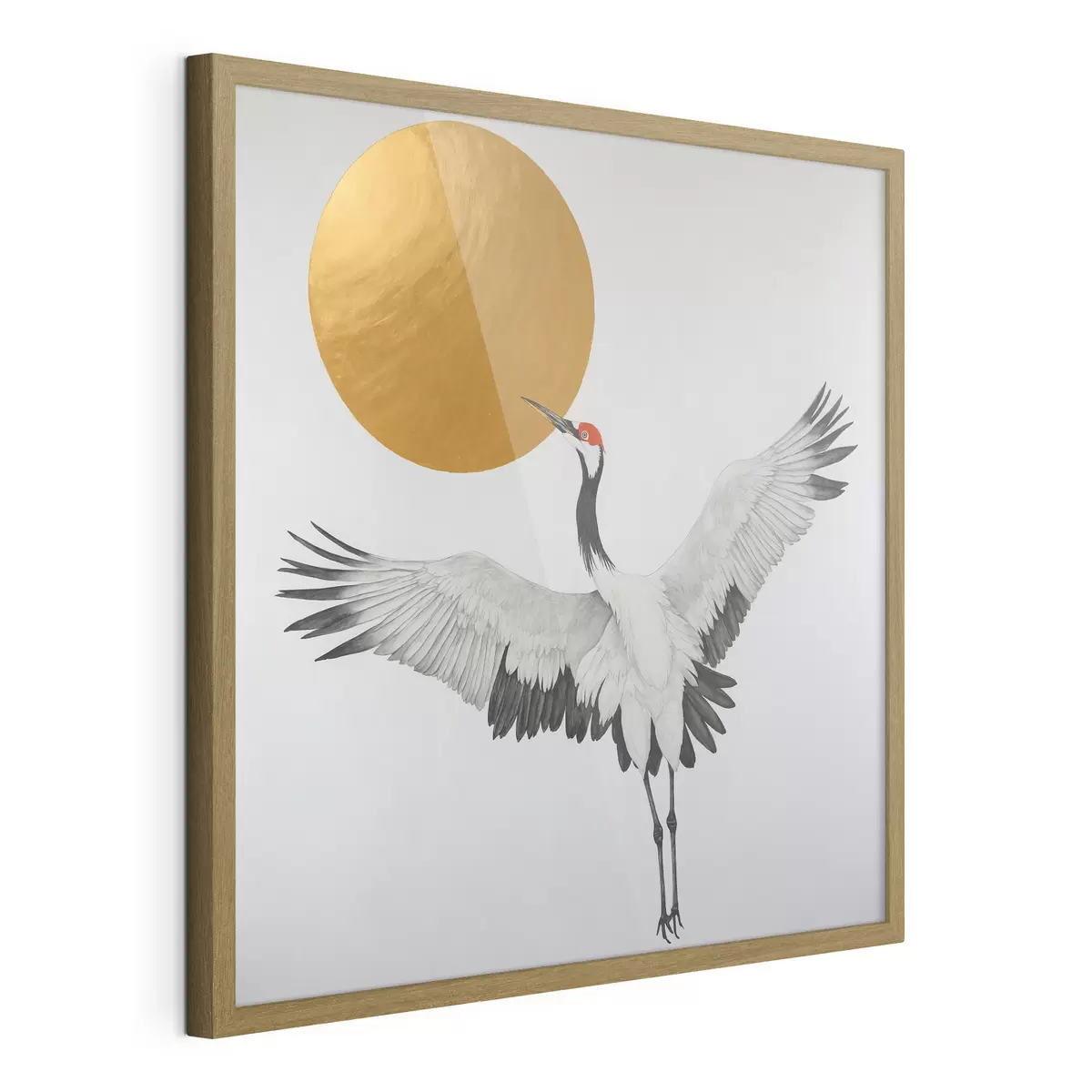 Poster Aves y luz f38195