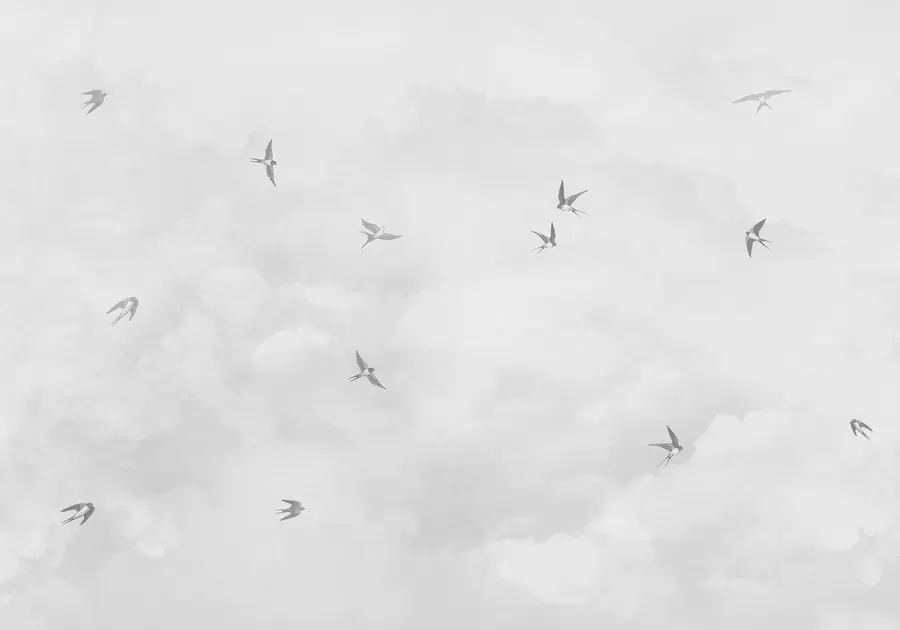 murales de pared Cielo gris con golondrinas w00526v1