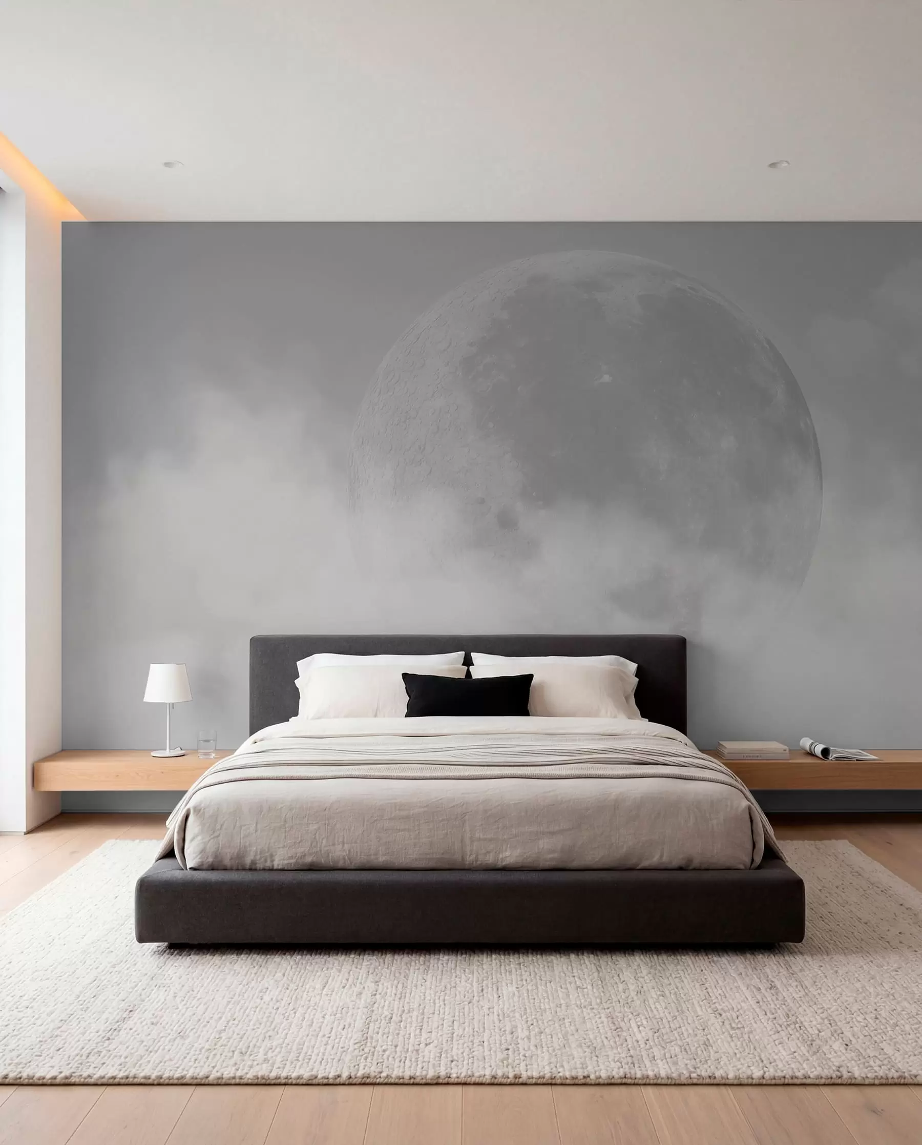 murales de pared Luna en cielo plateado w00548v1