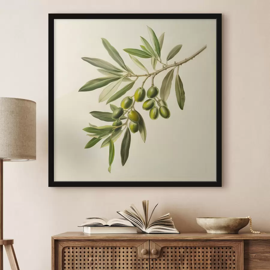 murales de pared Rama de olivo f38411