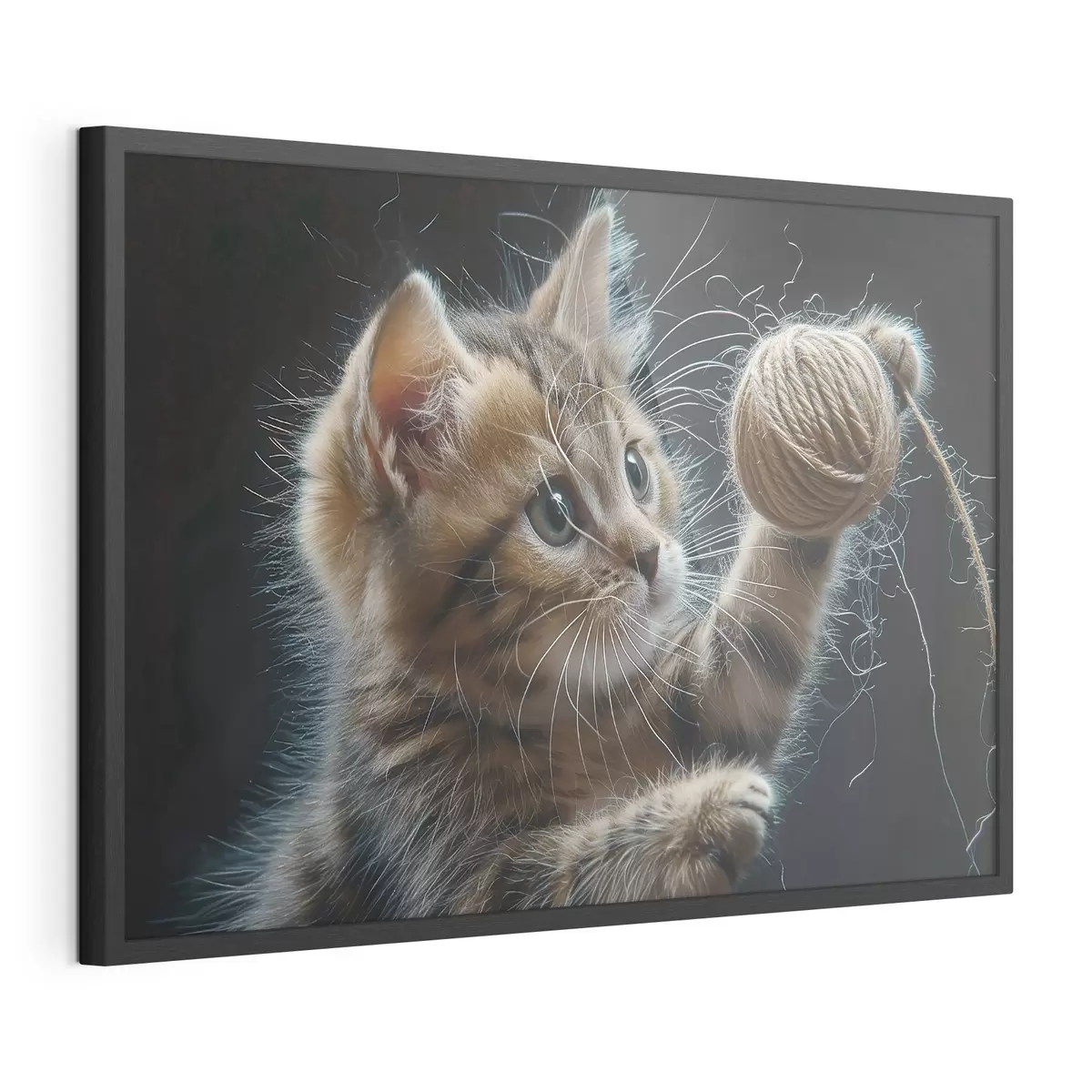 Poster Lindo gato f38463