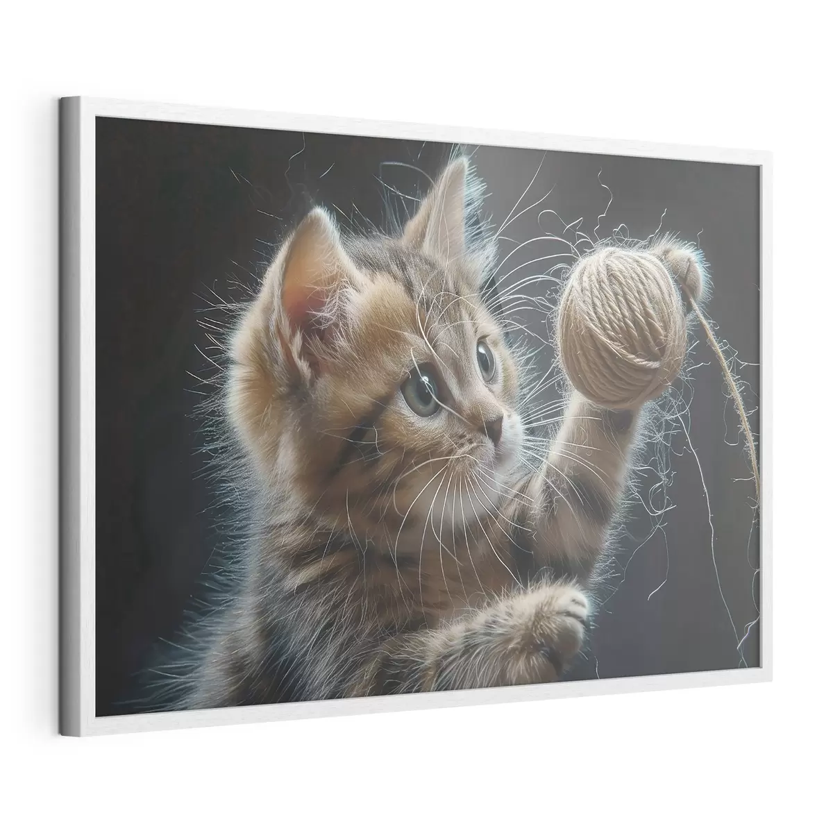Poster Lindo gato f38463