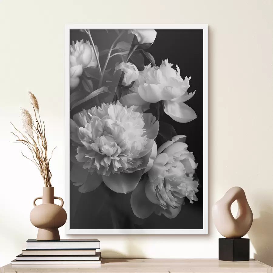 murales de pared Peonías blancas y negras f39547