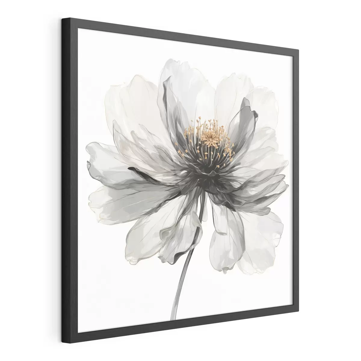 Poster Misterio transparente f40066
