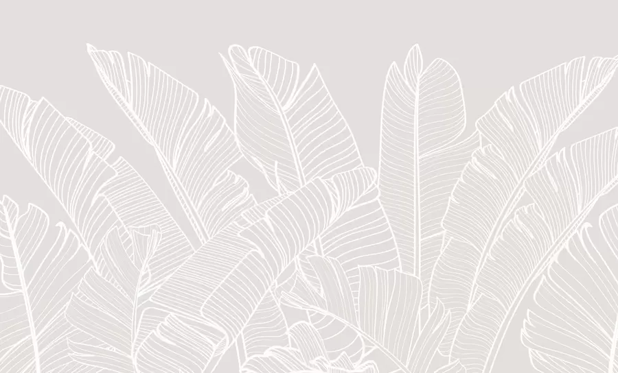murales de pared Hojas de plátano tropical: minimalismo, nueva tendencia w08210