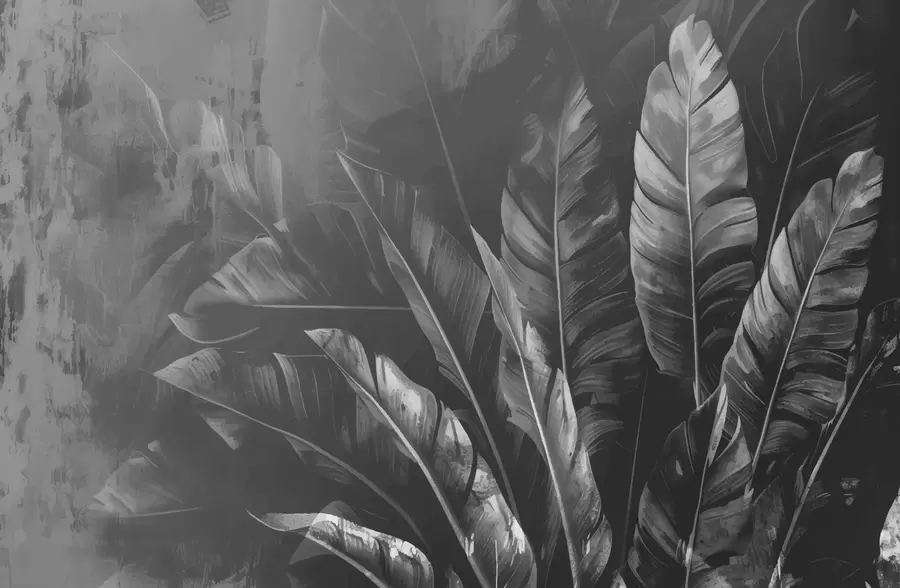 murales de pared hojas negras w00971