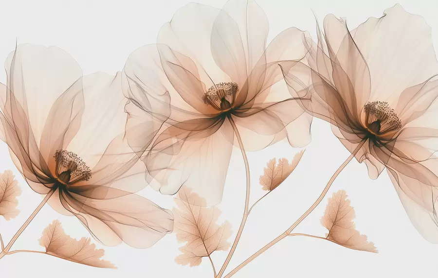 murales de pared Delicada flor transparente estilo rayos X sobre fondo blanco Diseño botánico monocromático minimalista w01482