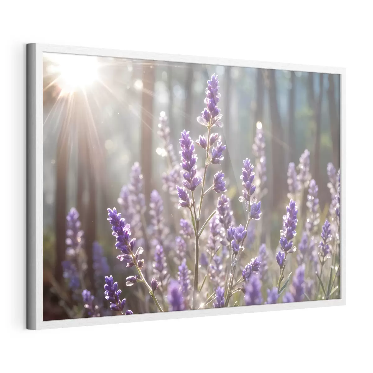 Poster Flores y eternidad f40570
