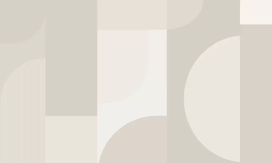 murales de pared Minimalismo de geometría elegante. w01500v3