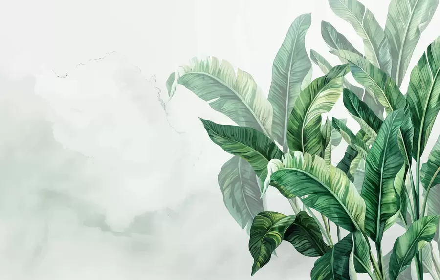 murales de pared hojas de plátano, hojas grandes, hojas verdes, hojas tropicales w01630