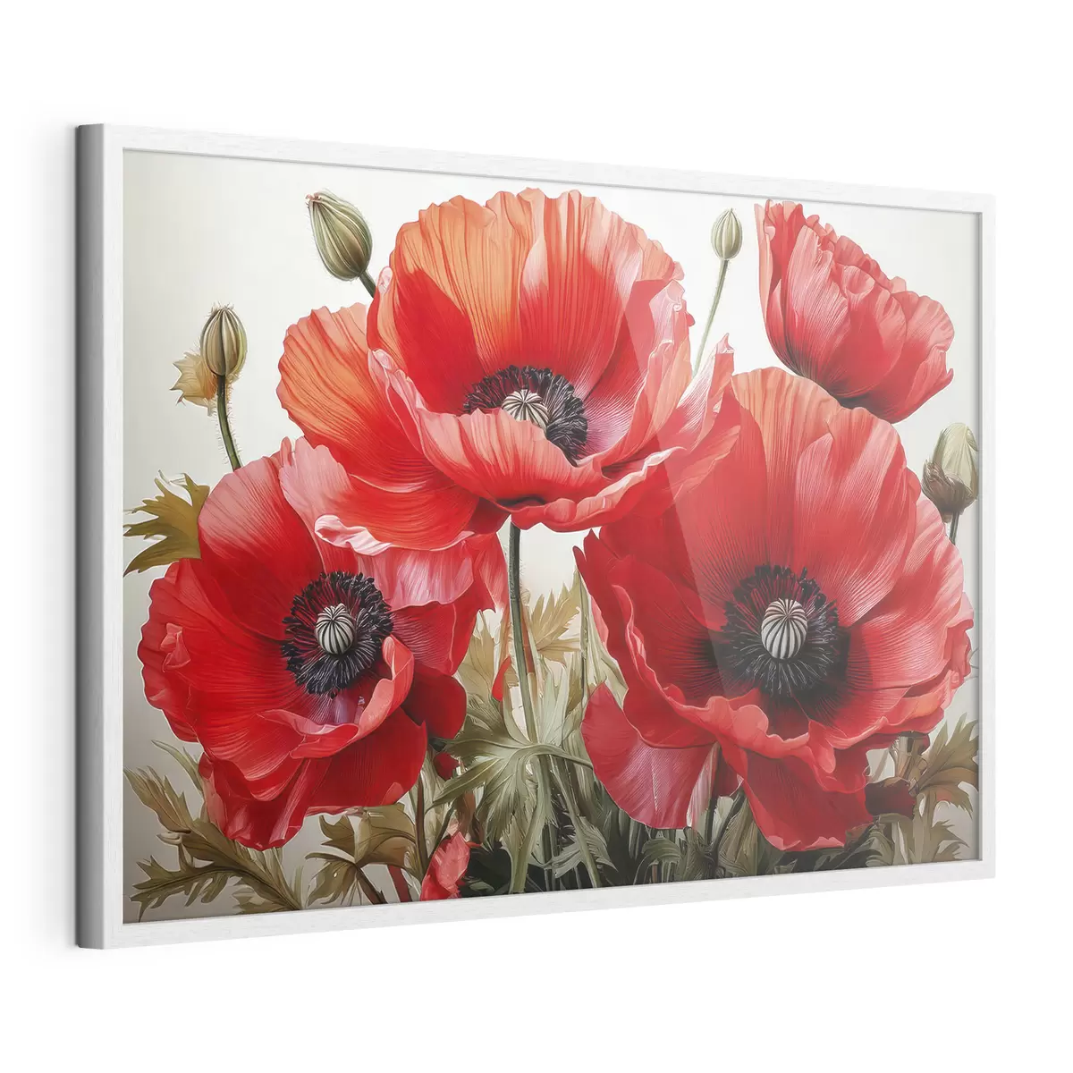 Poster amapolas rojas grandes f41107