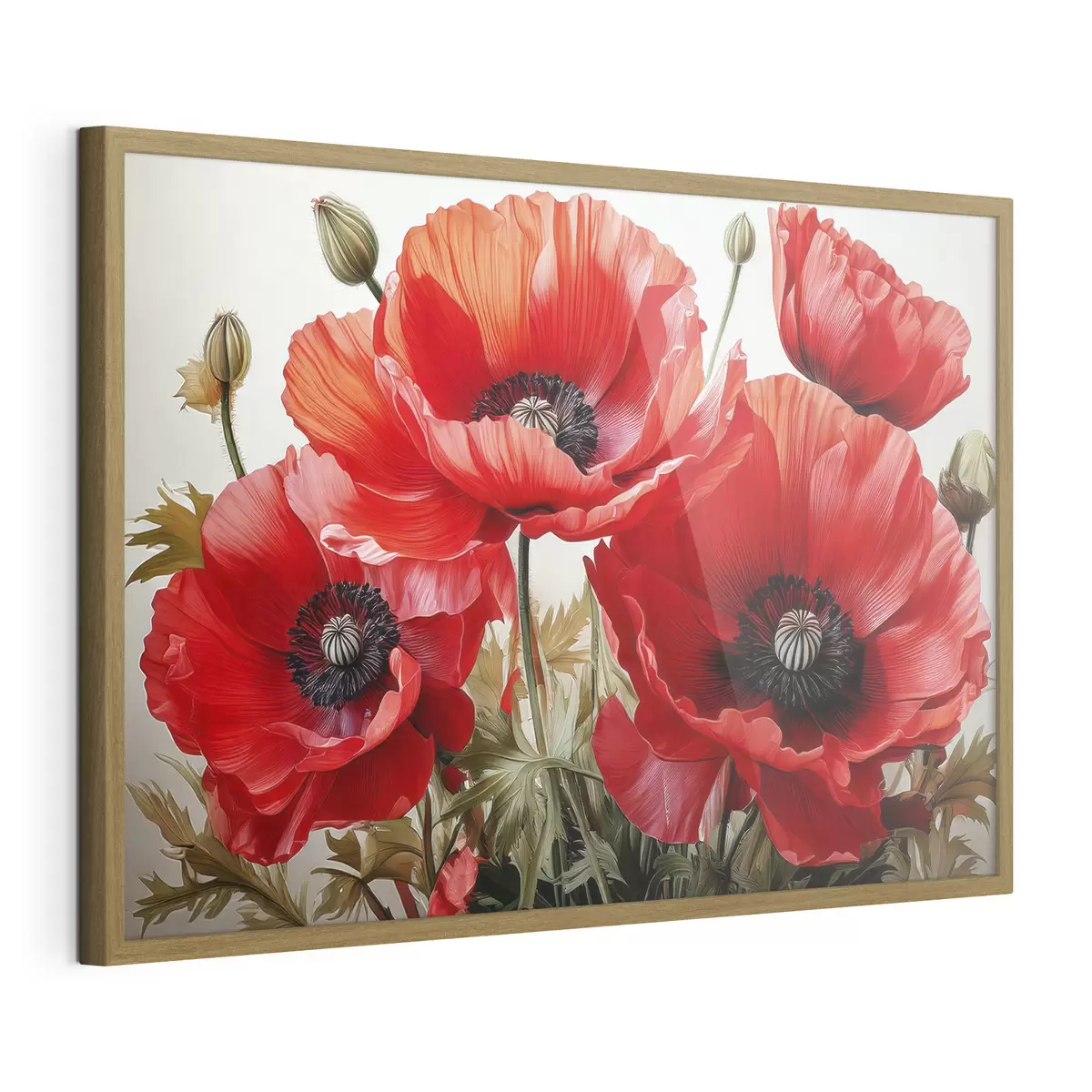 Poster amapolas rojas grandes f41107