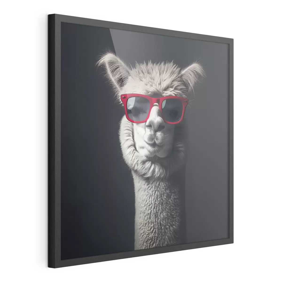 Poster Llama con carácter f40996