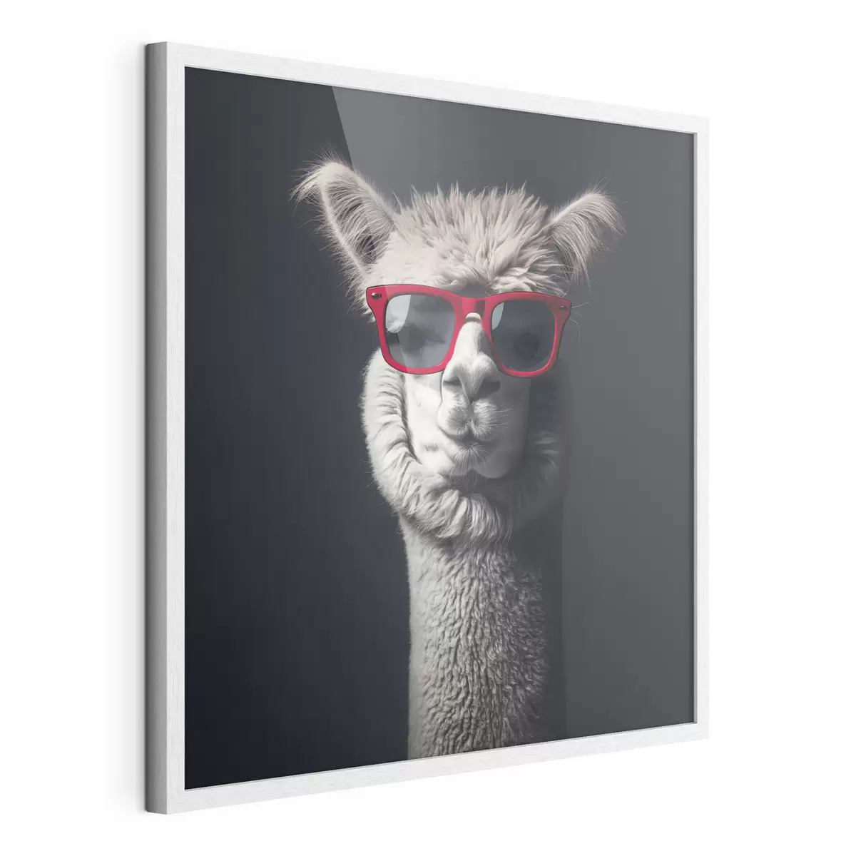 Poster Llama con carácter f40996