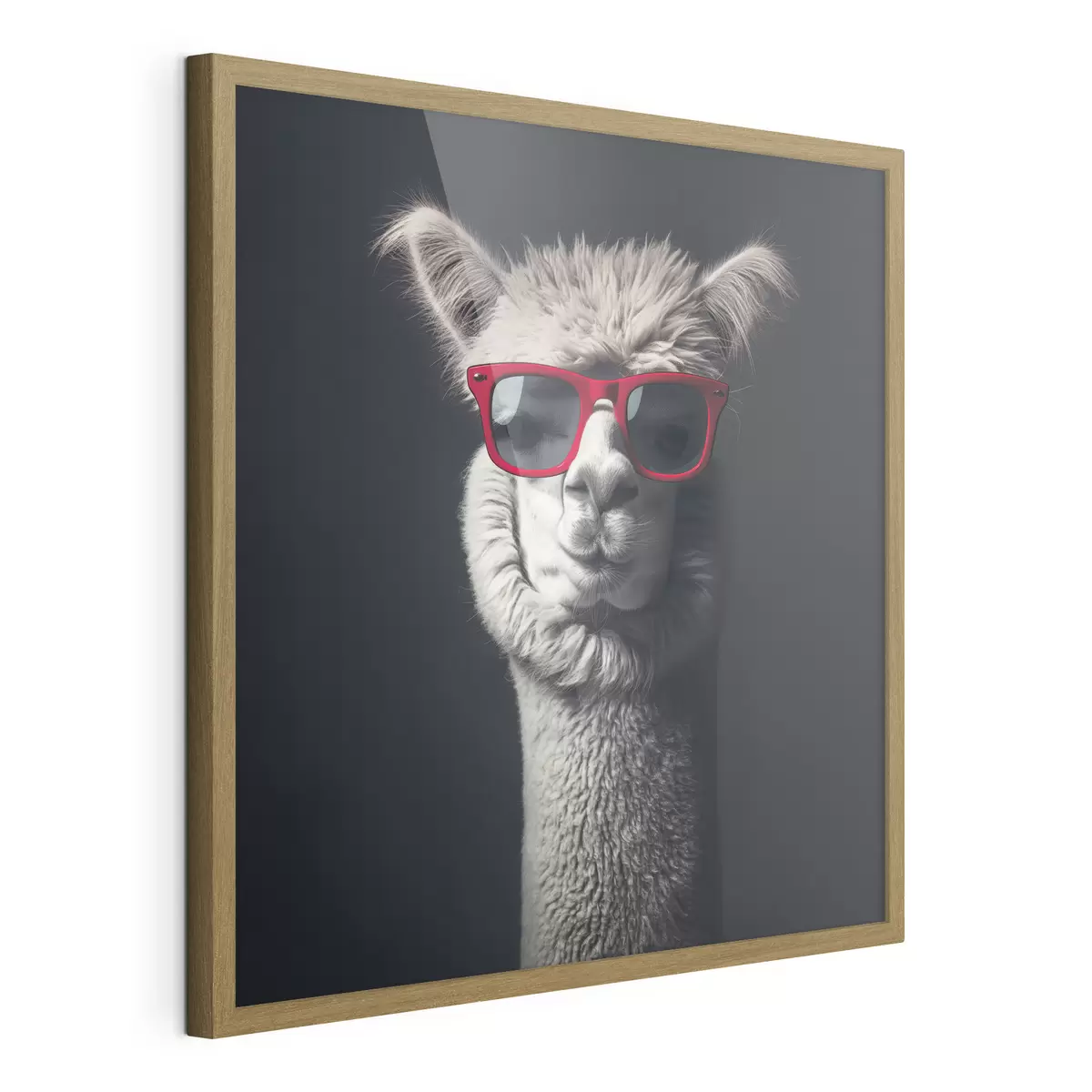 Poster Llama con carácter f40996