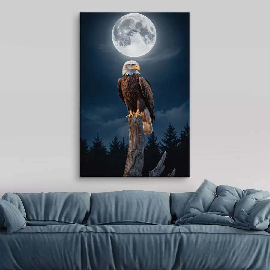 murales de pared Águila sobre fondo lunar s41043