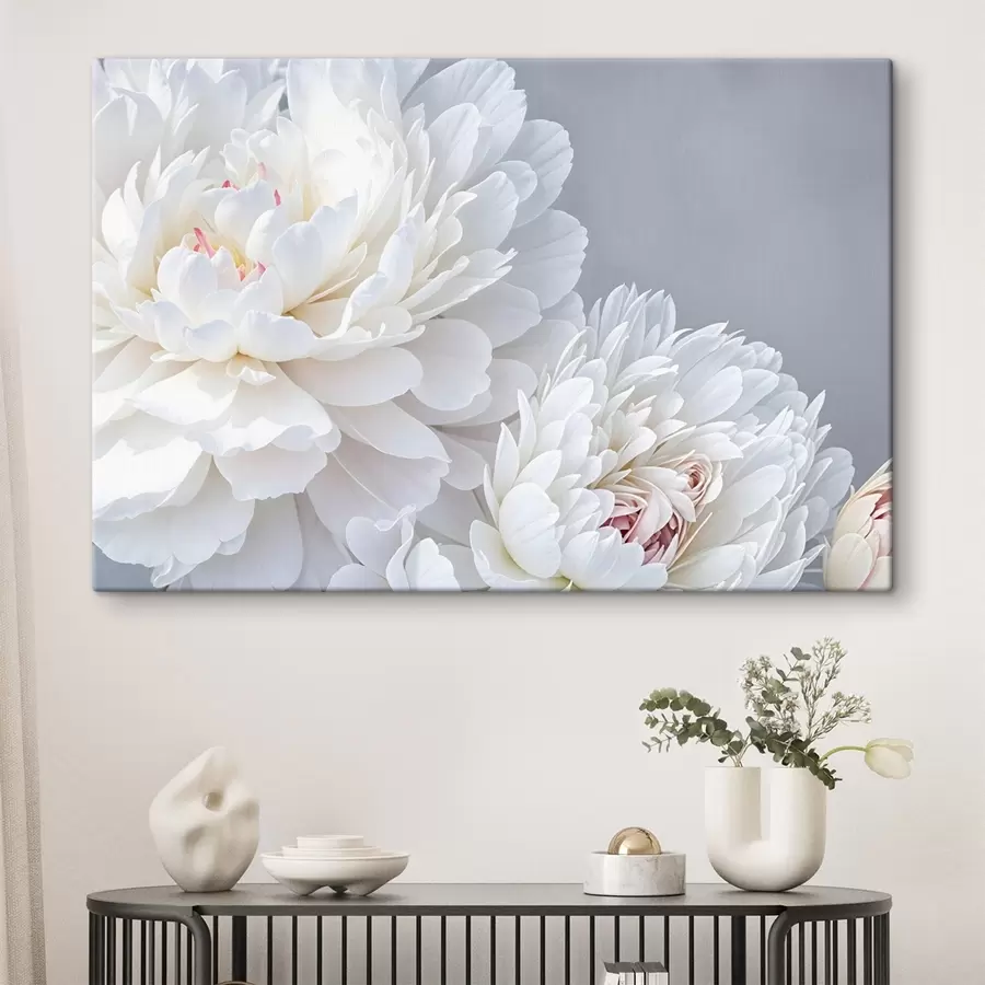 murales de pared Flores blancas de peonía con pétalos suaves y delicados sobre un fondo gris claro s41085