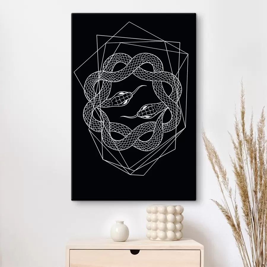 murales de pared Una serpiente blanca en círculo s38565v4