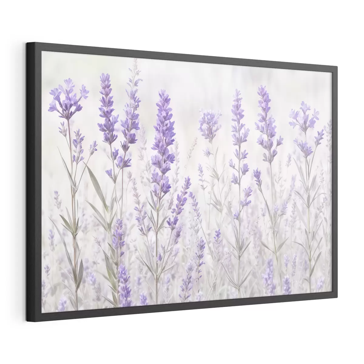 Poster Un campo de flores púrpura lavanda sobre un fondo de textura borrosa f41265