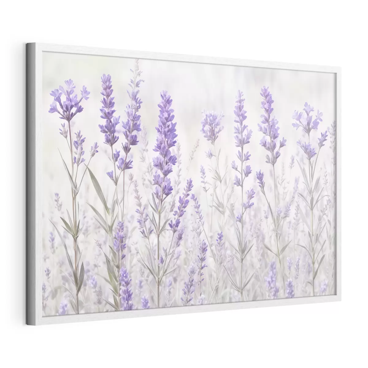 Poster Un campo de flores púrpura lavanda sobre un fondo de textura borrosa f41265