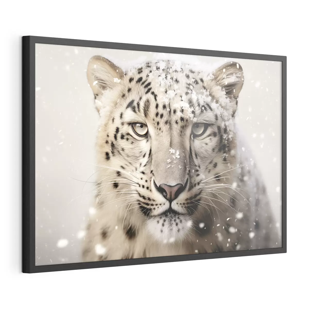 Poster Mirada de nieve f41434