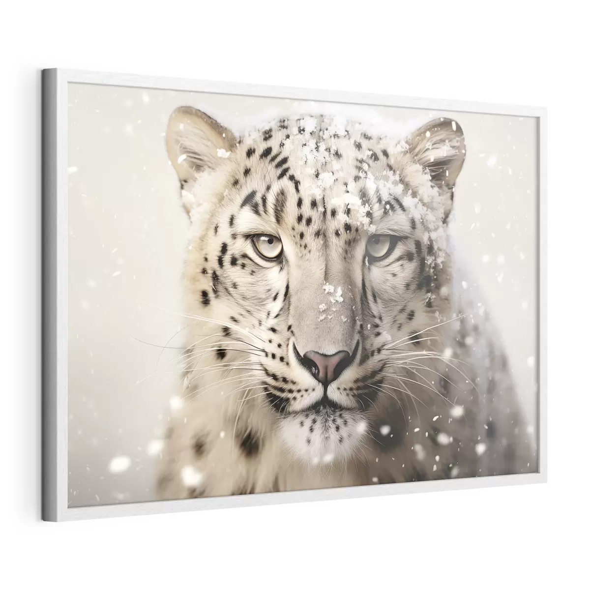 Poster Mirada de nieve f41434