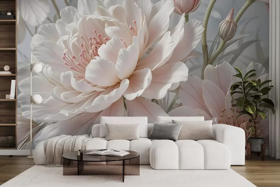 murales de pared Grandes y delicadas flores de peonía blancas y rosas con pétalos suaves y esponjosos sobre un fondo gris difuminado w08427