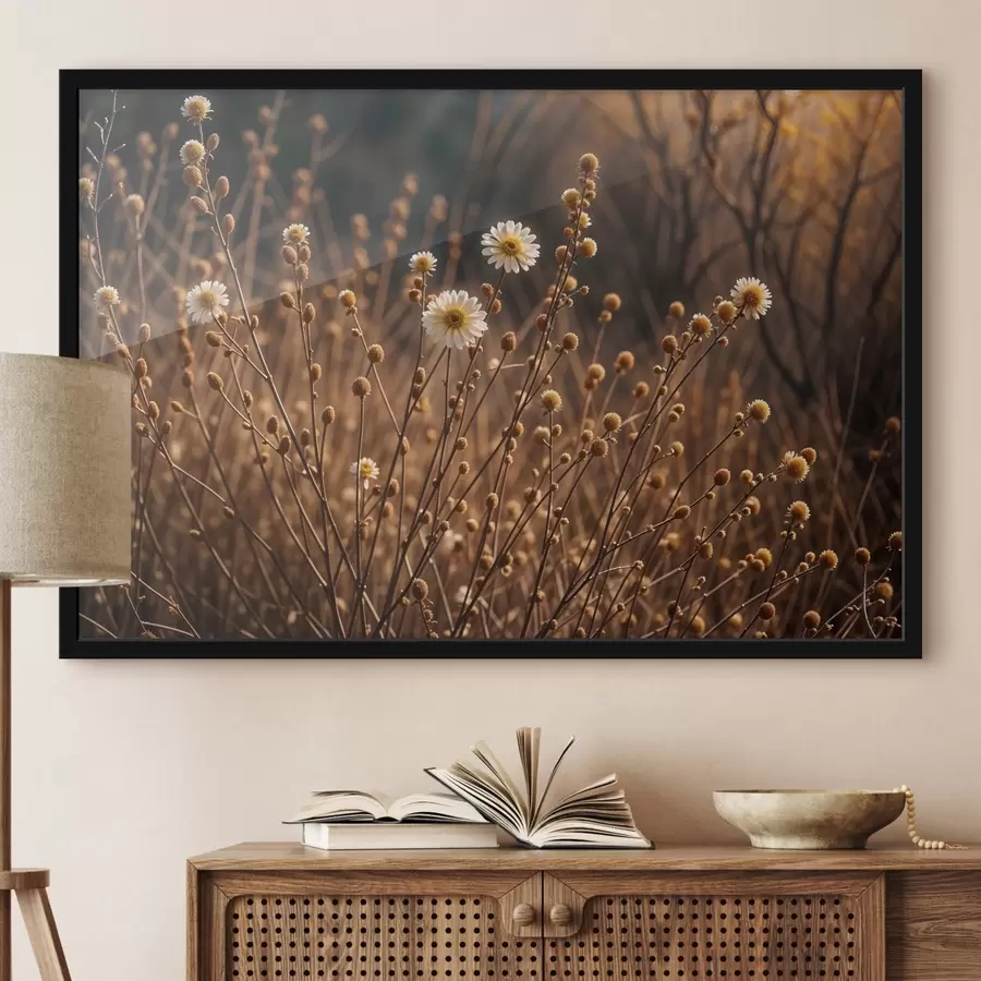 murales de pared Margaritas blancas en un campo de hierba seca y tallos, con la cálida luz del sol del atardecer f41735