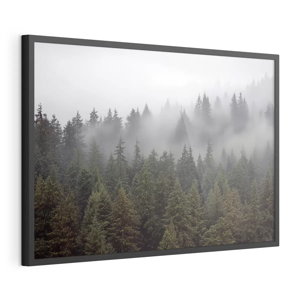 Poster Bosque en la niebla f41839