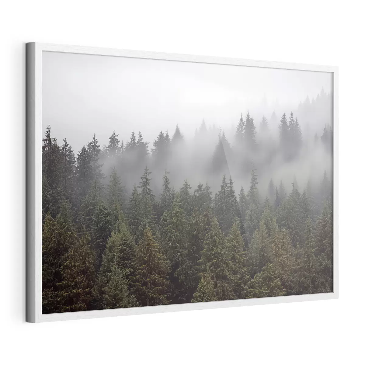 Poster Bosque en la niebla f41839