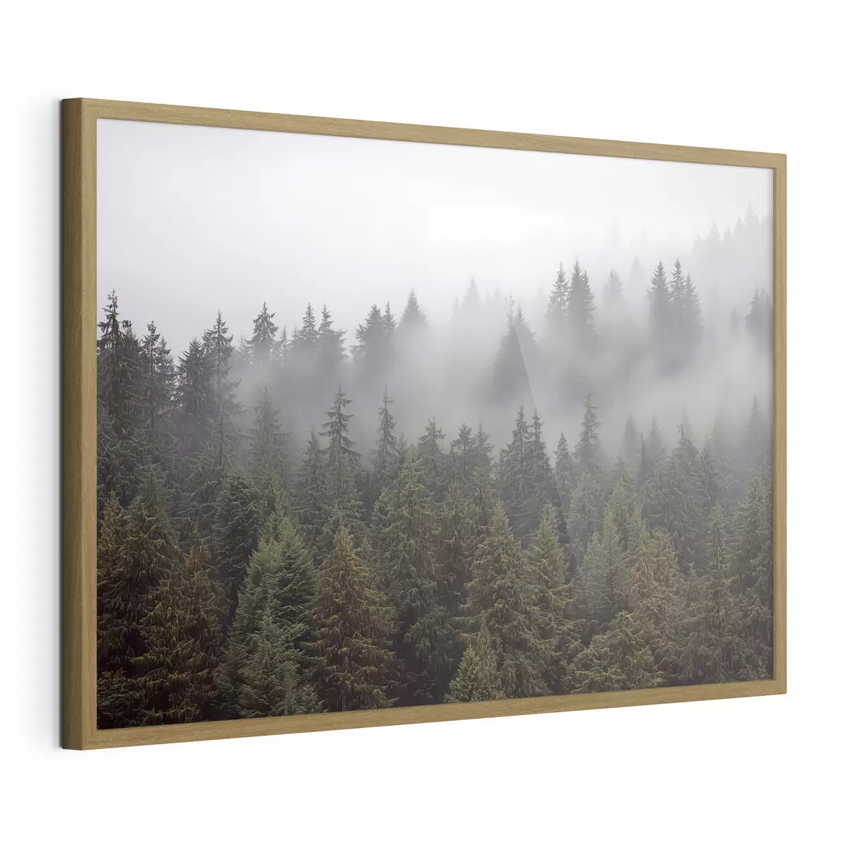Poster Bosque en la niebla f41839