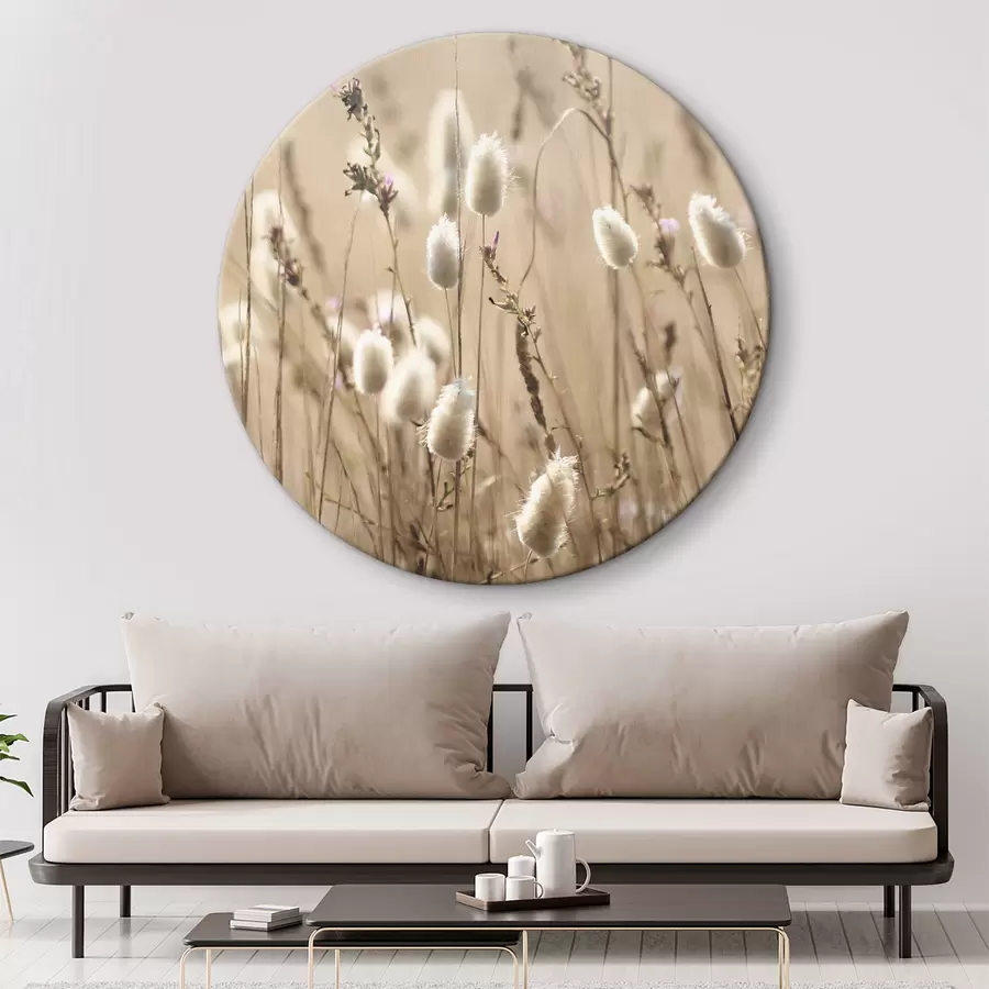 murales de pared Hierbas esponjosas en un prado iluminado por el sol r35256