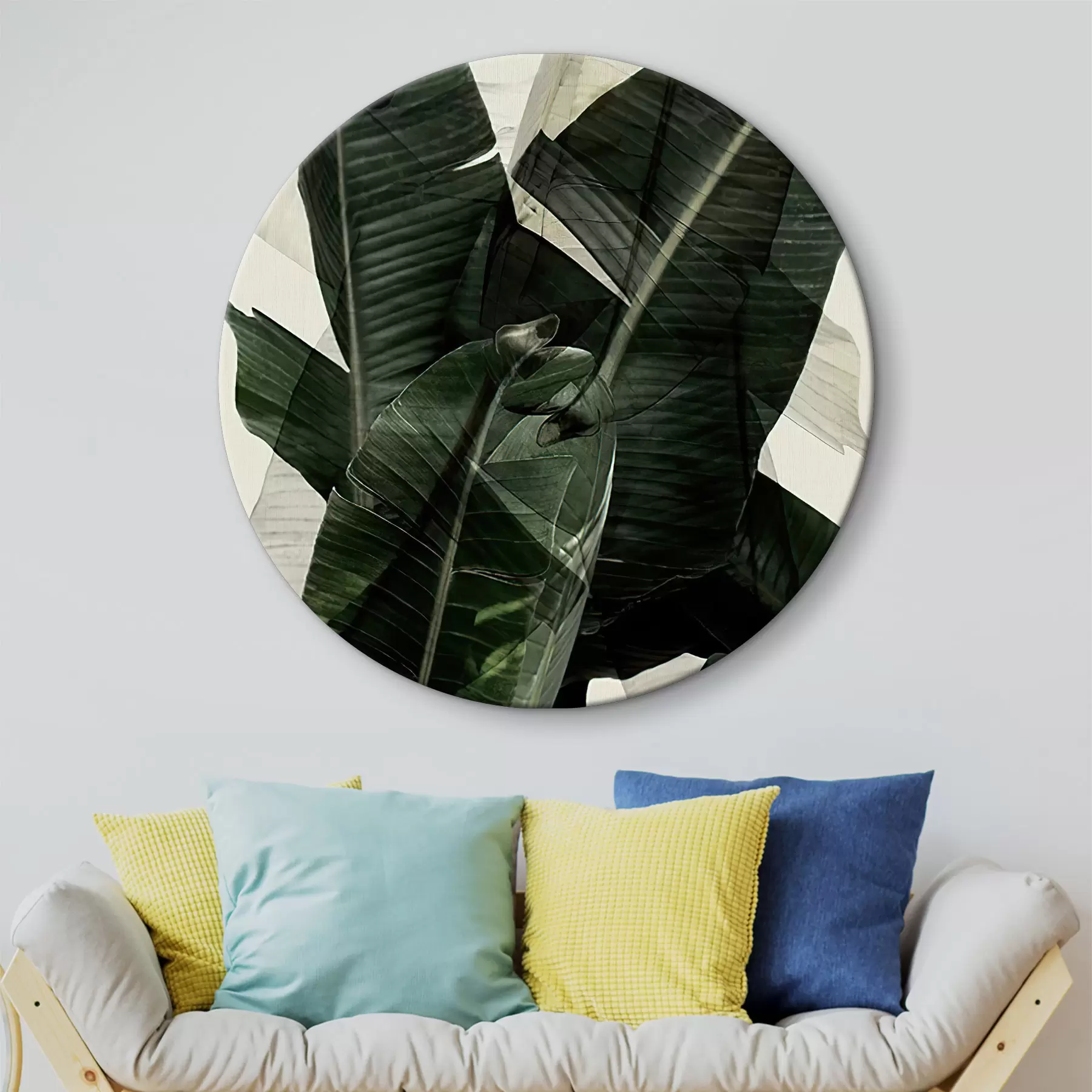 murales de pared Planta, planta terrestre y hoja de plátano r21747