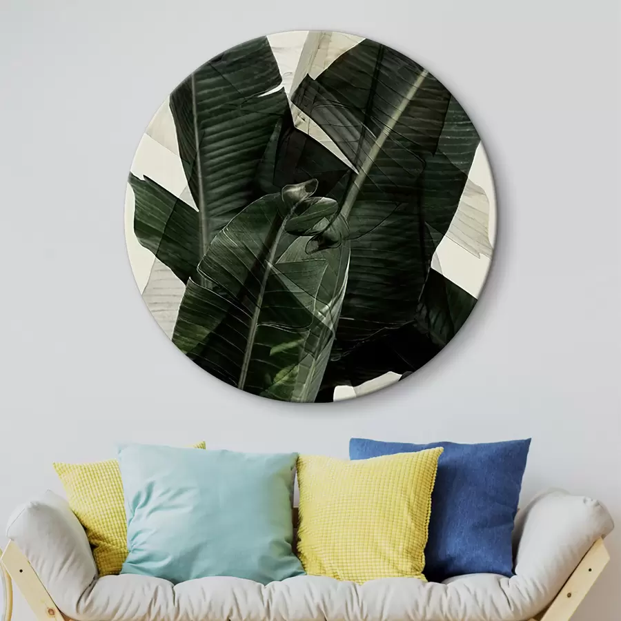 murales de pared Planta, planta terrestre y hoja de plátano r21747