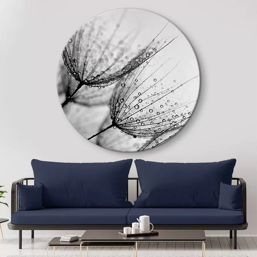 murales de pared Planta, rama y línea r20828