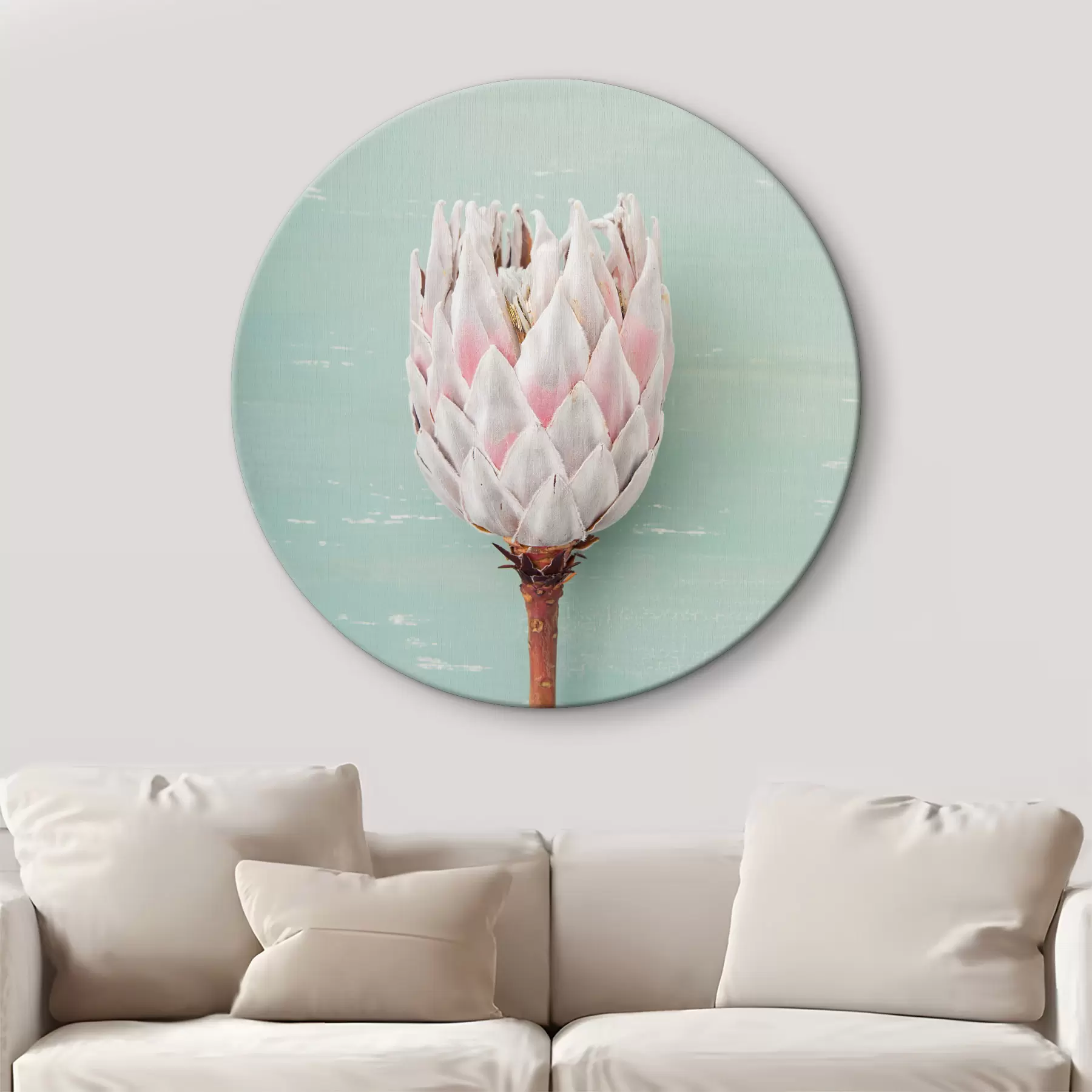 murales de pared Protea blanca r36695