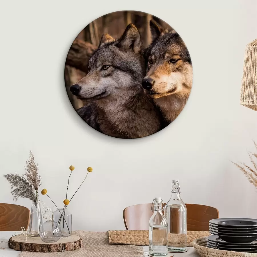 murales de pared Perro, carnívoro y raza de perro r15522