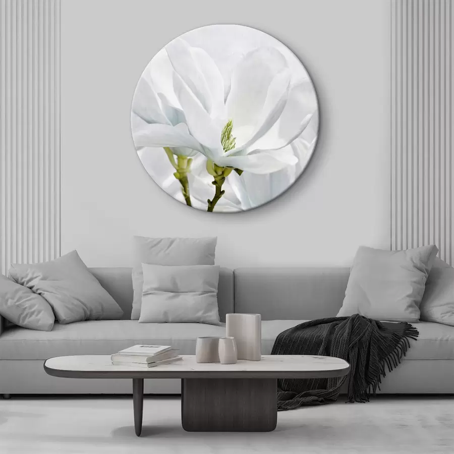 murales de pared Magnolia blanca r35784