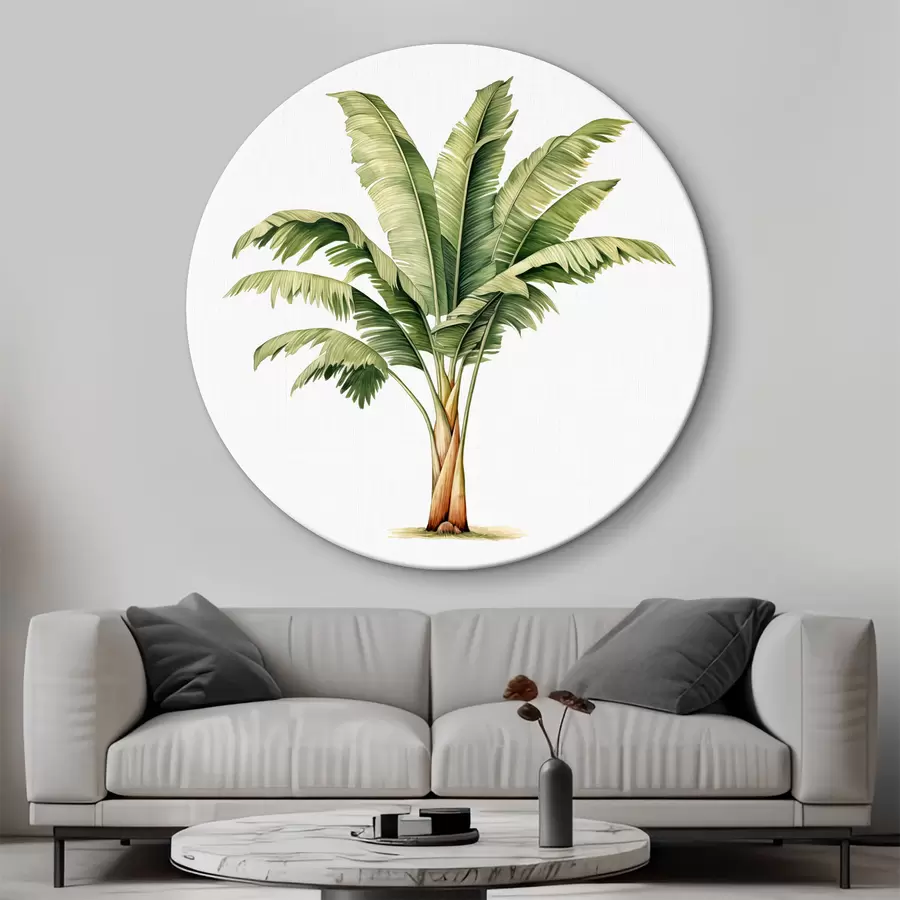 murales de pared Ilustración minimalista acuarela de palmera de plátano r39562