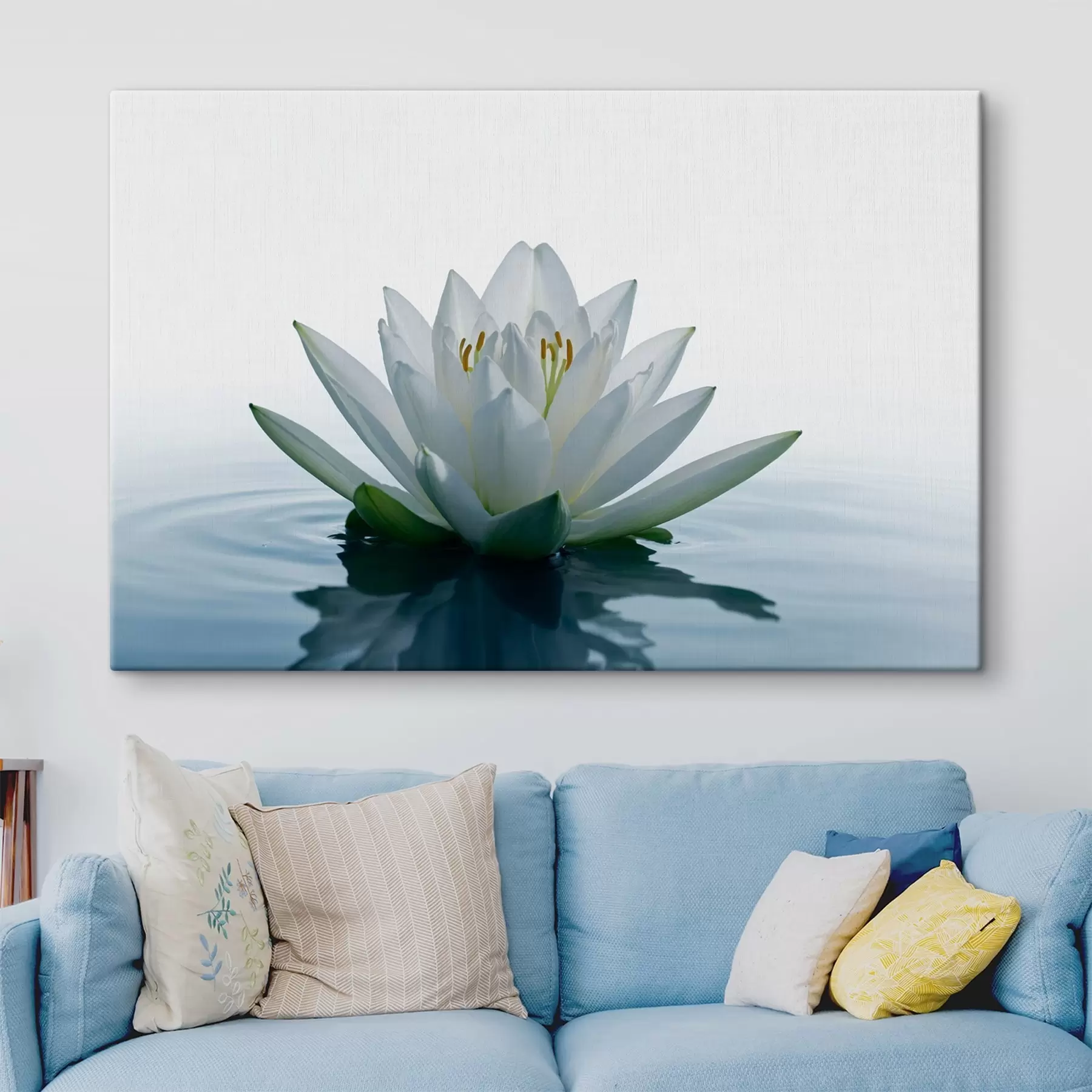 murales de pared Lirio flotando en el agua s42098