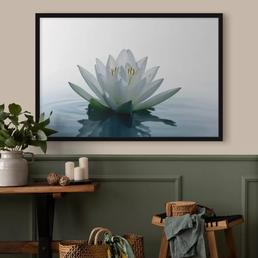 murales de pared Lirio flotando en el agua f42098