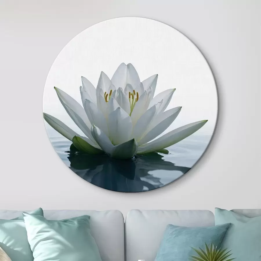 murales de pared Lirio flotando en el agua r42098